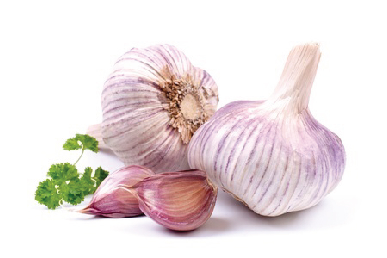Garlic - natural Antibiotic