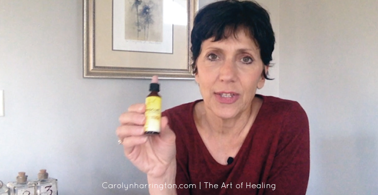Carolyn Harrington holding a remedy.